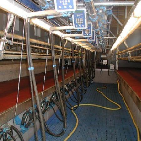 Swing over Melkstand