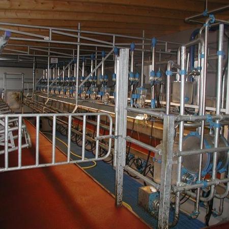 Swing over Melkstand