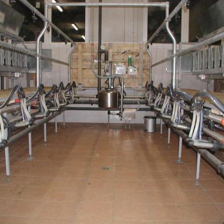 Melkstand Schaf Ziege